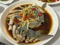 -煲来饱去冷水鱼