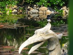 IMG_0090-三亚亚龙湾凯莱仙人掌度假酒店