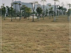 -眉山湿地公园(东坡区)