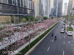 -深圳湾万象城(南山店)