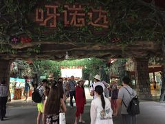 -呀诺达热带雨林