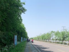 -宁波杭州湾国家湿地公园