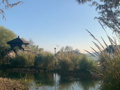 -渤公岛生态公园