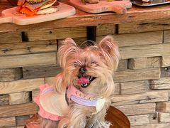 -Catch Bagel(芳草地店)