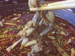 -靓蛙馆