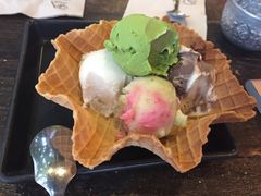 -莓园冰淇淋店