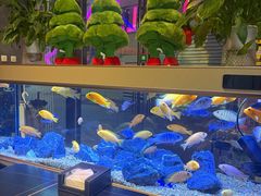 -黄鱼炙夜·烧烤·小龙虾(星荟广场店)