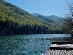 -镇江市南山风景名胜区竹林景区