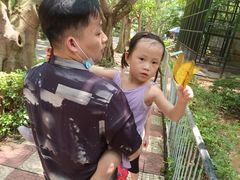 -广东茂名森林公园