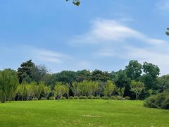 -东方绿舟景区