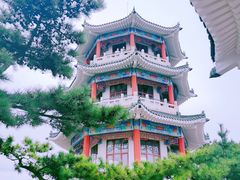 -青岛海滨风景区小鱼山