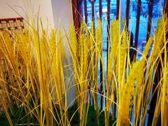 -陈艳红火锅菜·冒菜(簋街店)