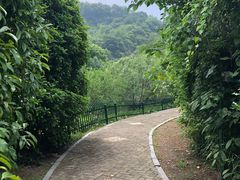 -幕燕滨江·长江观音景区