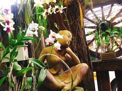 -自然餐厅(Phuket)