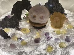 -美罗城