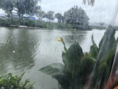 -晓琦农家菜馆·地道农家菜