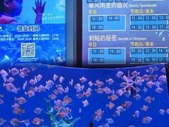 -沈阳海洋探索中心