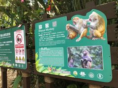 -海南热带野生动植物园