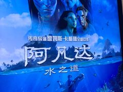 -万达影城(锦华万达广场IMAX店)