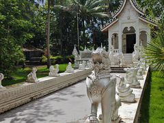 -西双版纳傣族园