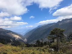 -西双版纳原始森林公园