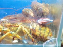 -海帮主·蒸汽海鲜青岛菜(栈桥火车站店)