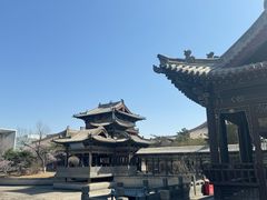 -善化寺