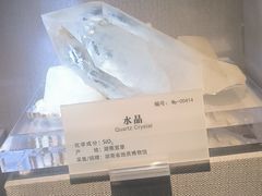 -湖南省地质博物馆