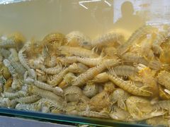 -87号烧烤海鲜·大排档(金沙滩店)