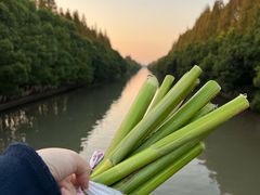 -嘉北郊野公园