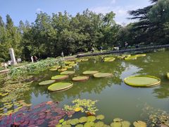 -国家植物园南园