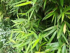 -杭州花家山庄