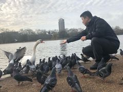 -海德公园