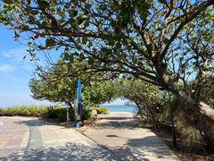 -巨鹏飞梦幻海岸