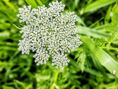 -祝甸砖窑文化馆