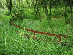 -西湖风景区-江洋畈生态公园