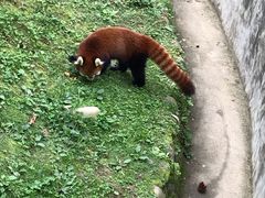 -西安秦岭野生动物园