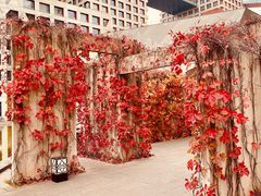-和美电影艺术中心(万国城店)