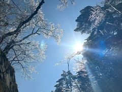 -黄山风景区