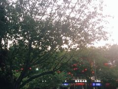 -大雁塔北广场音乐喷泉