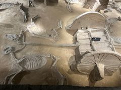 -洛阳周王城天子驾六博物馆