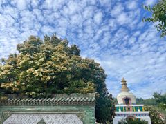 -塔尔寺