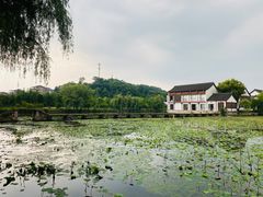 -鲁镇