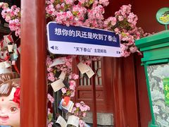 -泰山风景名胜区