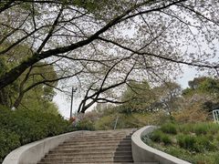 -杭州少年儿童公园