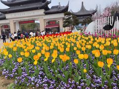 -苏州上方山国家森林公园
