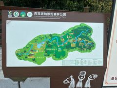 -西双版纳原始森林公园