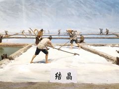 -河东池盐文化博览园