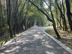 -同里国家湿地公园