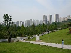 -龙头寺公园